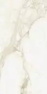 610010002745 Микеланджело Ворм 60x120